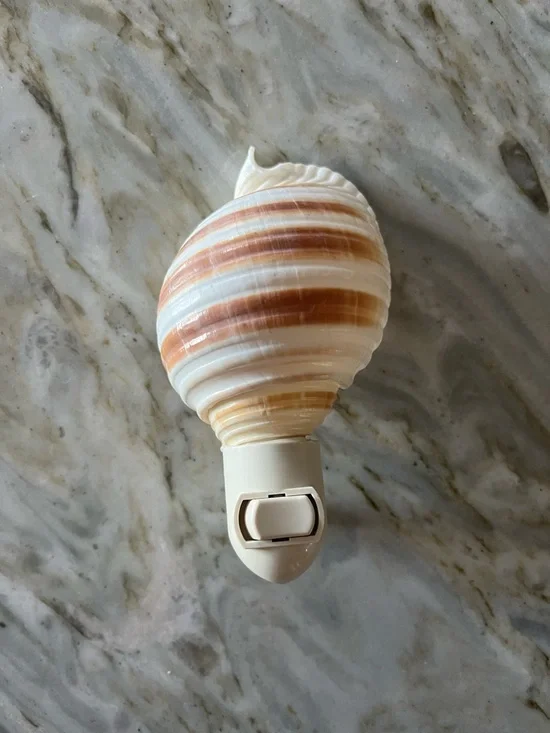 Sea Shell Night Light - Picture 2 of 2